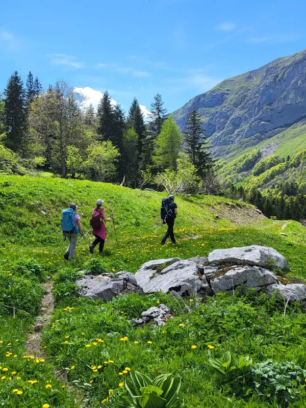 Sortie-Randonnee-Aravis-2026-2-11-42243 Sortie Randonnee Aravis 2026 2 11 42243