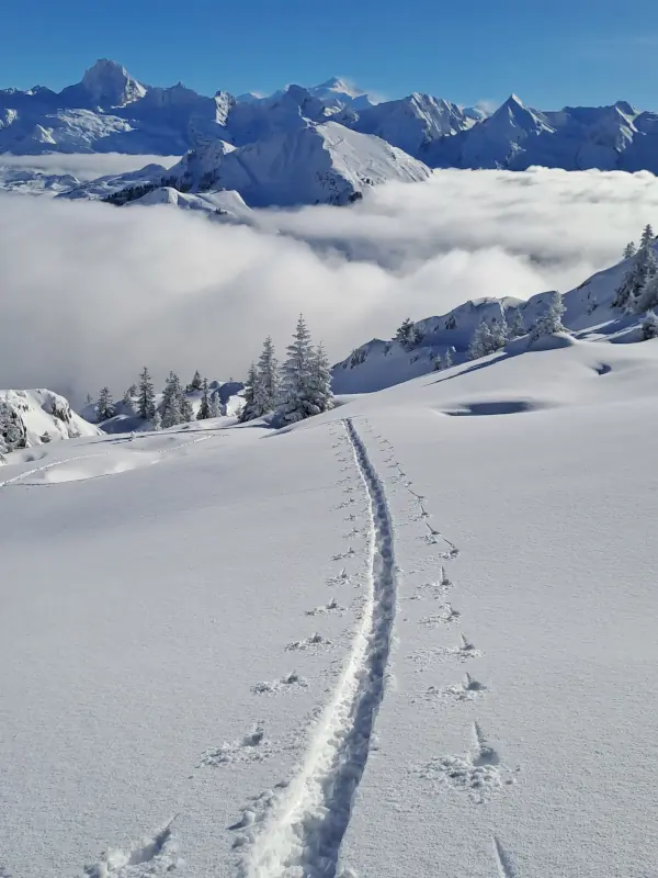 Sortie-Randonnee-Ski-Aravis-2026-2-11-42360 Sortie Randonnee Ski Aravis 2026 2 11 42360